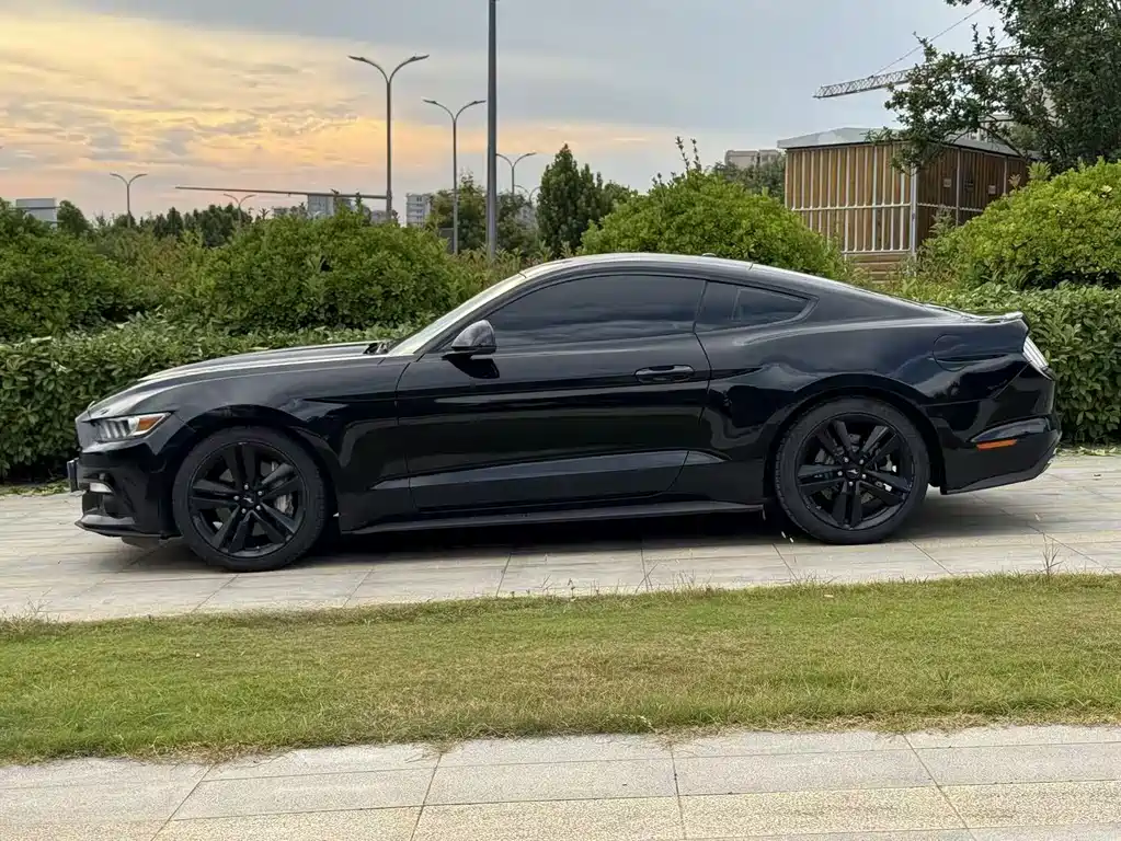 Ford Mustang — миниатюра 6