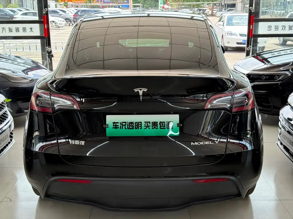 Tesla Model Y — миниатюра 13