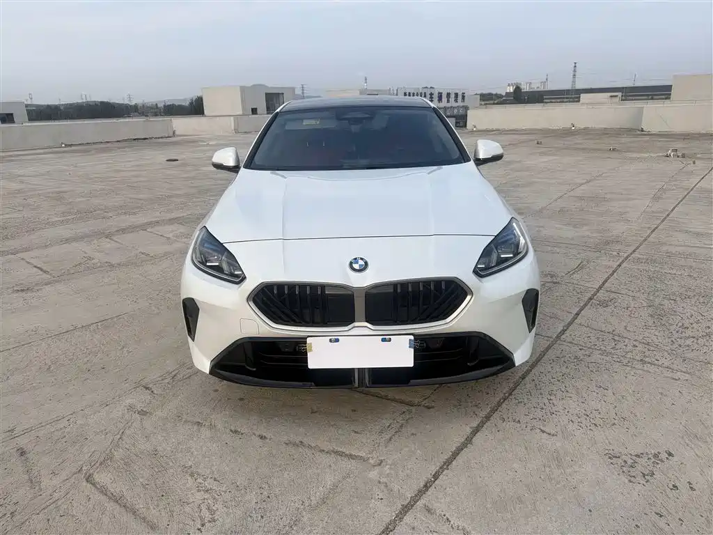 BMW 2 Series — миниатюра 2