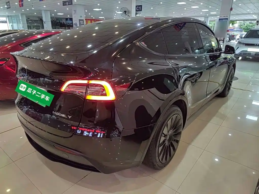 Tesla Model Y — миниатюра 7