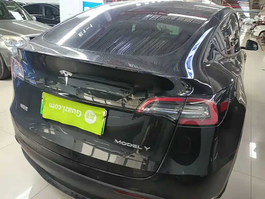 Tesla Model Y — миниатюра 7
