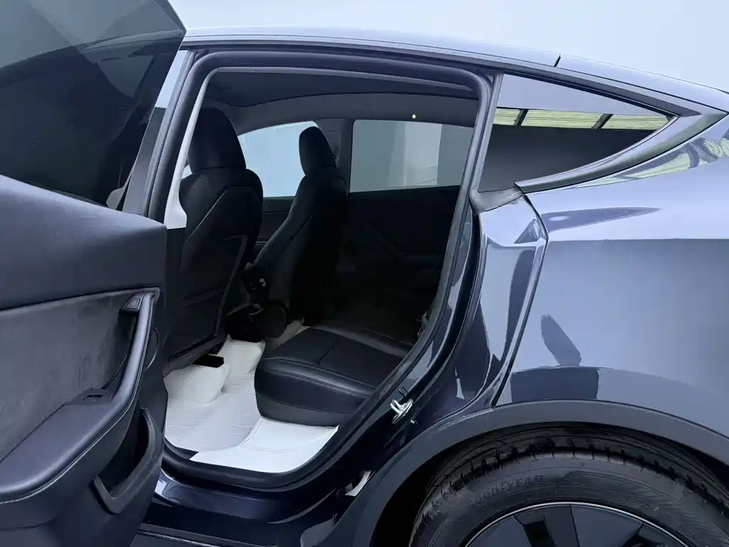 Tesla Model Y — миниатюра 7