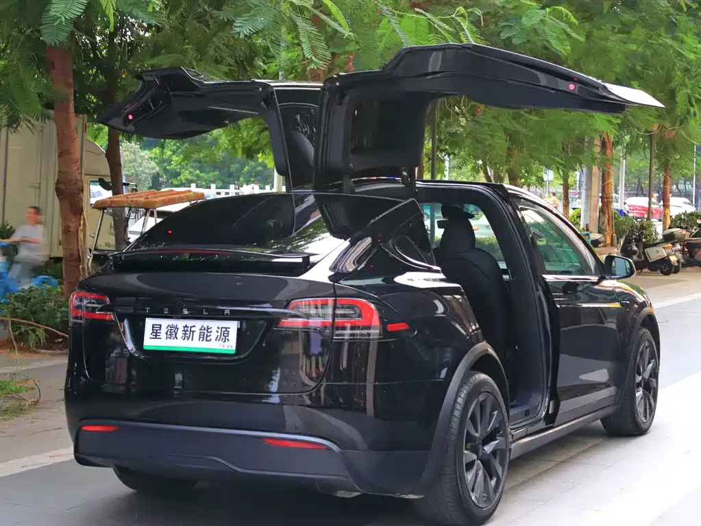 Tesla Model X — миниатюра 22