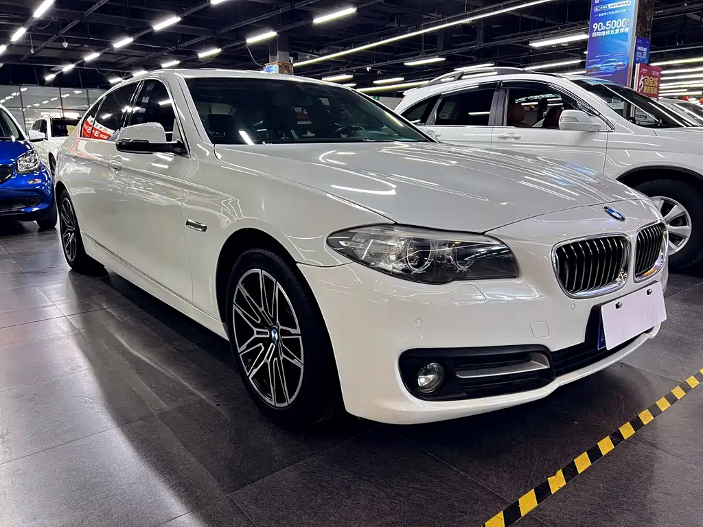 BMW 5 Series 5 2014 525Li Lead