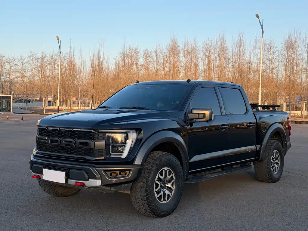FORD F 150 RAPTOR