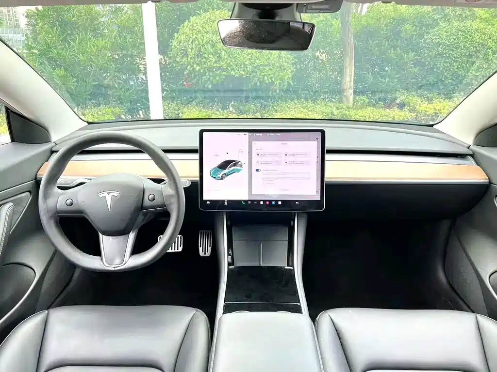 Tesla Model 3 — миниатюра 6