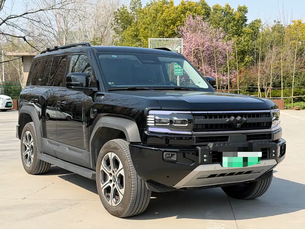 FANG CHENG BAO LEOPARD 5