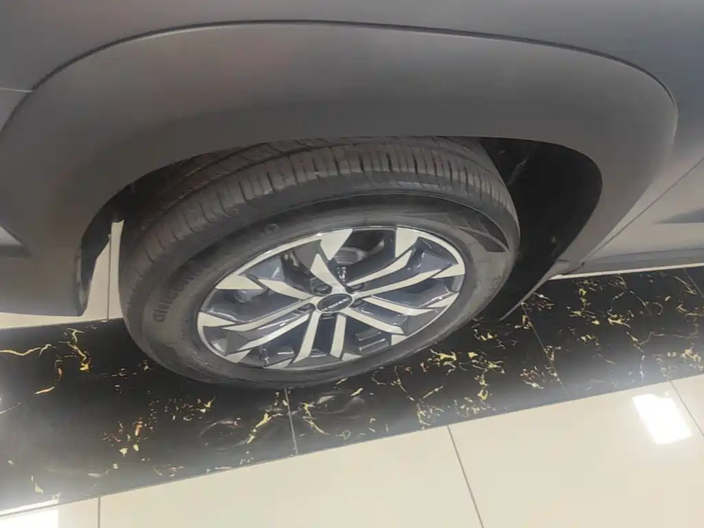 Haval Big Dog — миниатюра 23