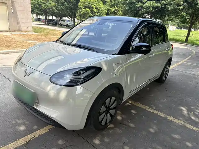 2024 Wuling Motors Binguo