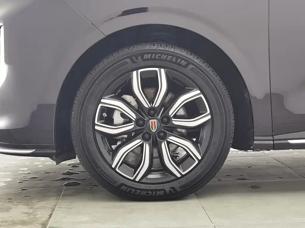 Hongqi Hongqi HQ9 — миниатюра 17