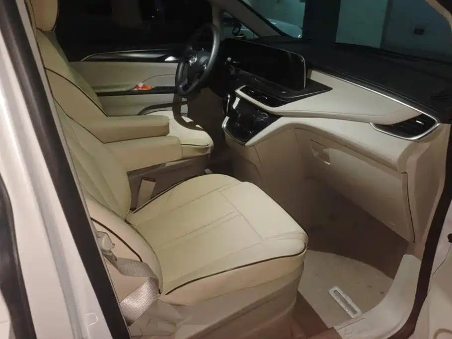 Buick GL8 — миниатюра 8