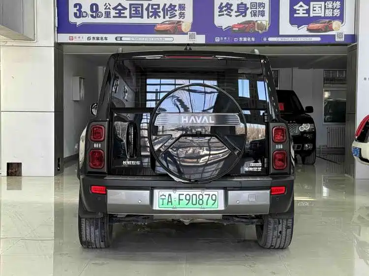 HAVAL RAPTORS NEW ENERGY