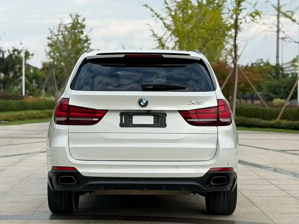BMW X5 (Import) — миниатюра 4