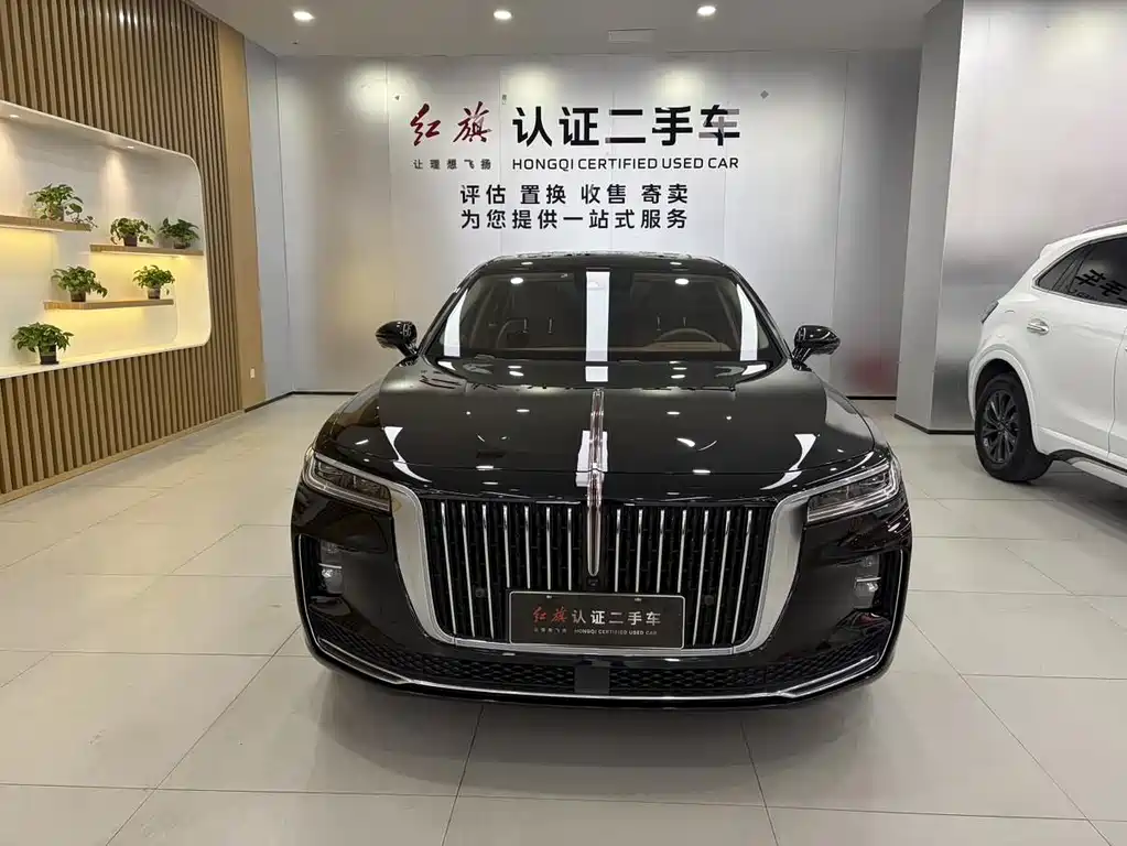 Hongqi Hongqi H9 2021