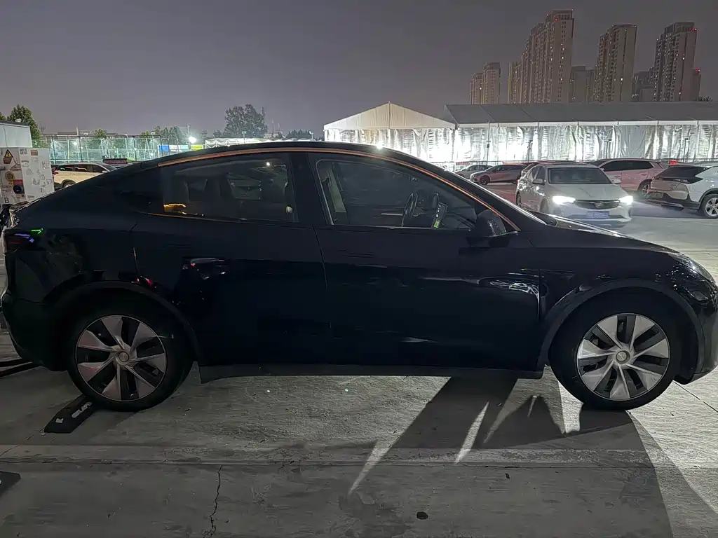 Tesla Model Y — миниатюра 4