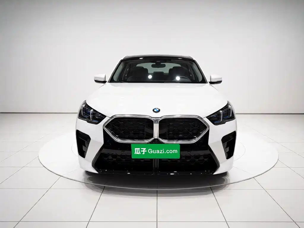 BMW X2 (Import) — миниатюра 2