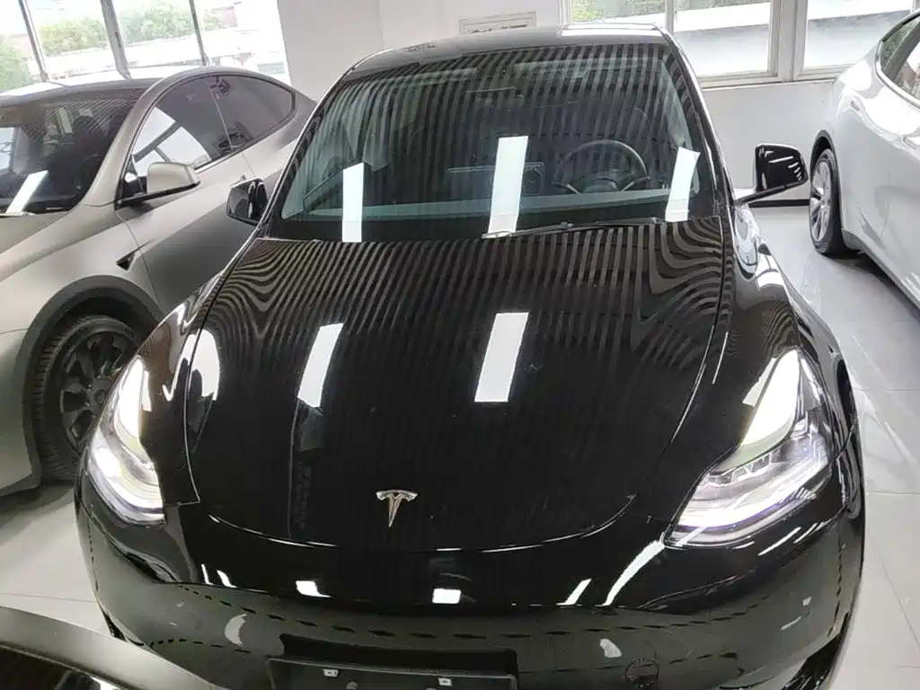 Tesla Model Y — миниатюра 3