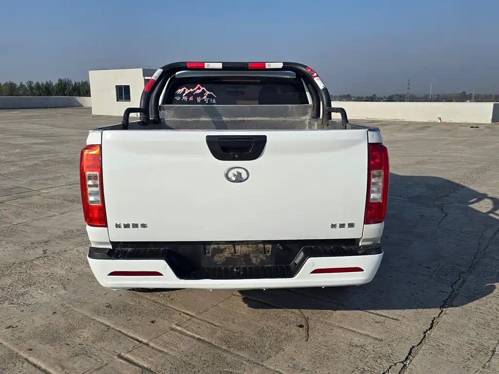 Great Wall Pao — миниатюра 8