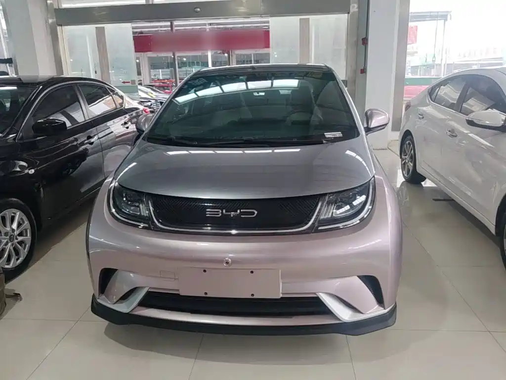 BYD Dolphin — миниатюра 3
