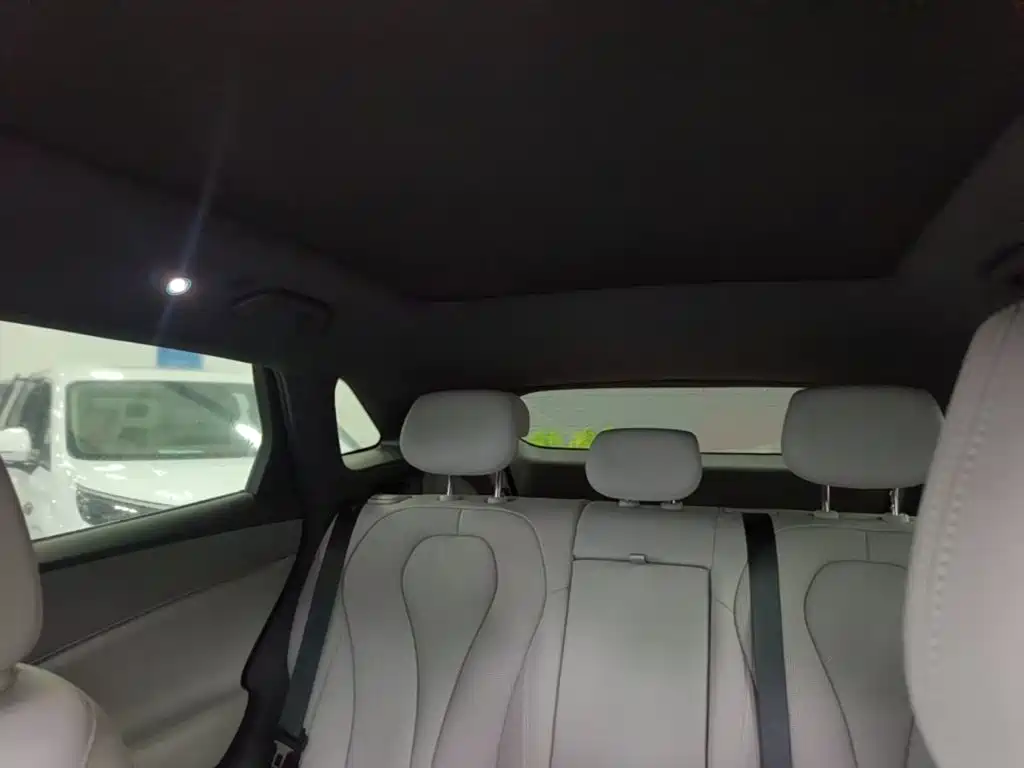 BYD Sealion 06 — миниатюра 18