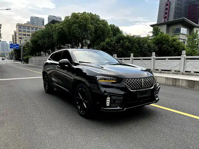 2021 Wey VV7