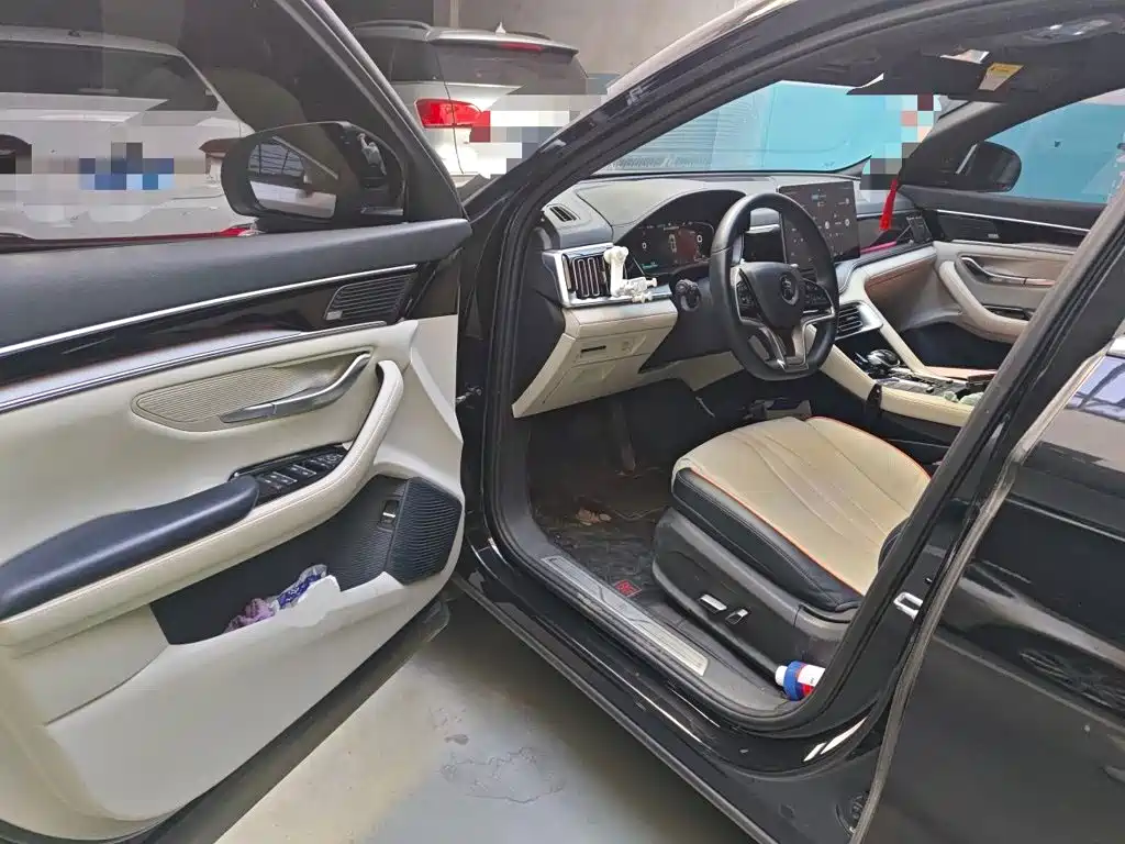 BYD PLUS New Energy — миниатюра 12