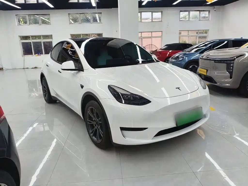 Tesla Model Y — миниатюра 4
