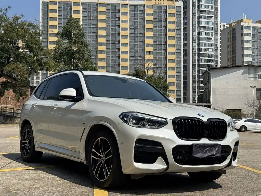 BMW X3 — миниатюра 3