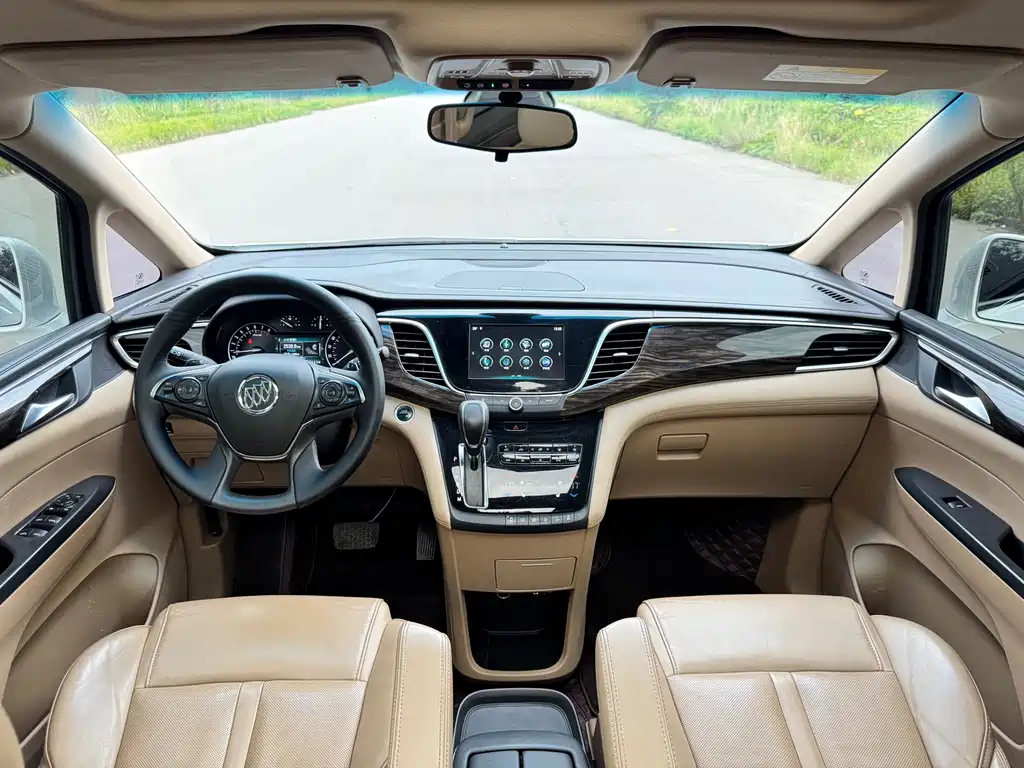 Buick GL8 — миниатюра 9