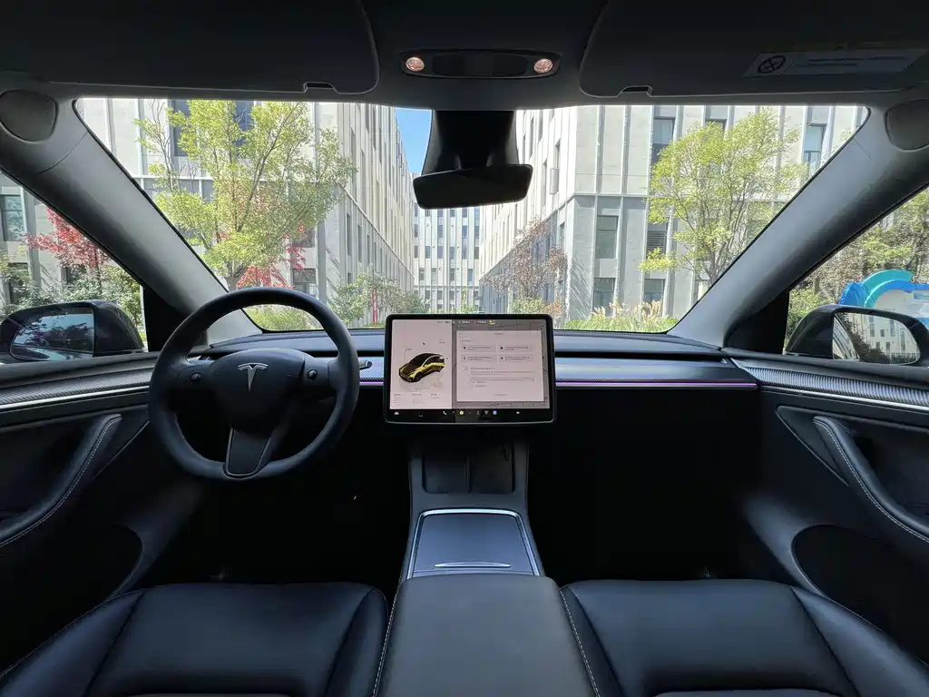 Tesla Model Y — миниатюра 5