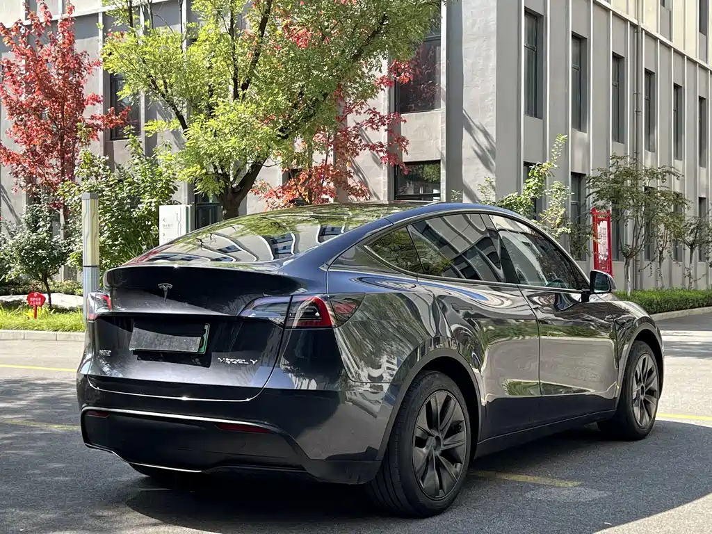 Tesla Model Y — миниатюра 7