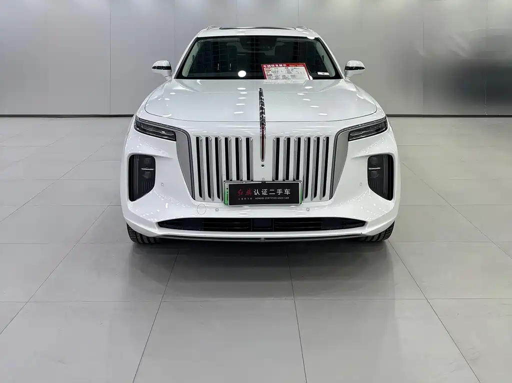 Hongqi HONGQI E HS9