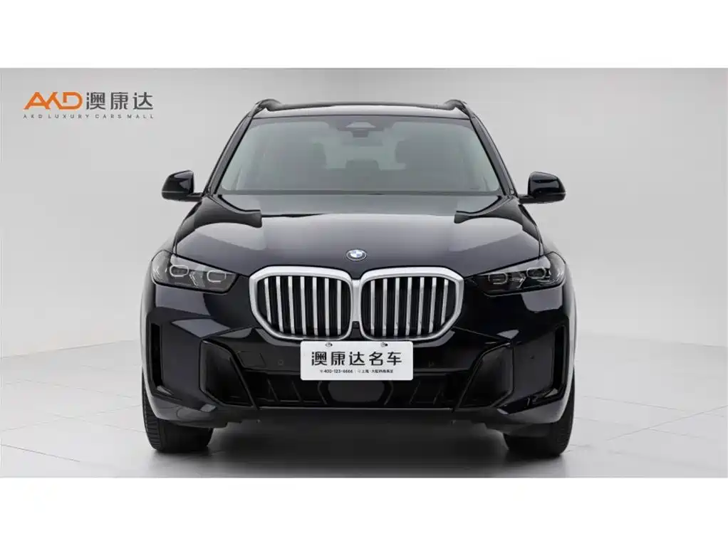 BMW X5 — миниатюра 2