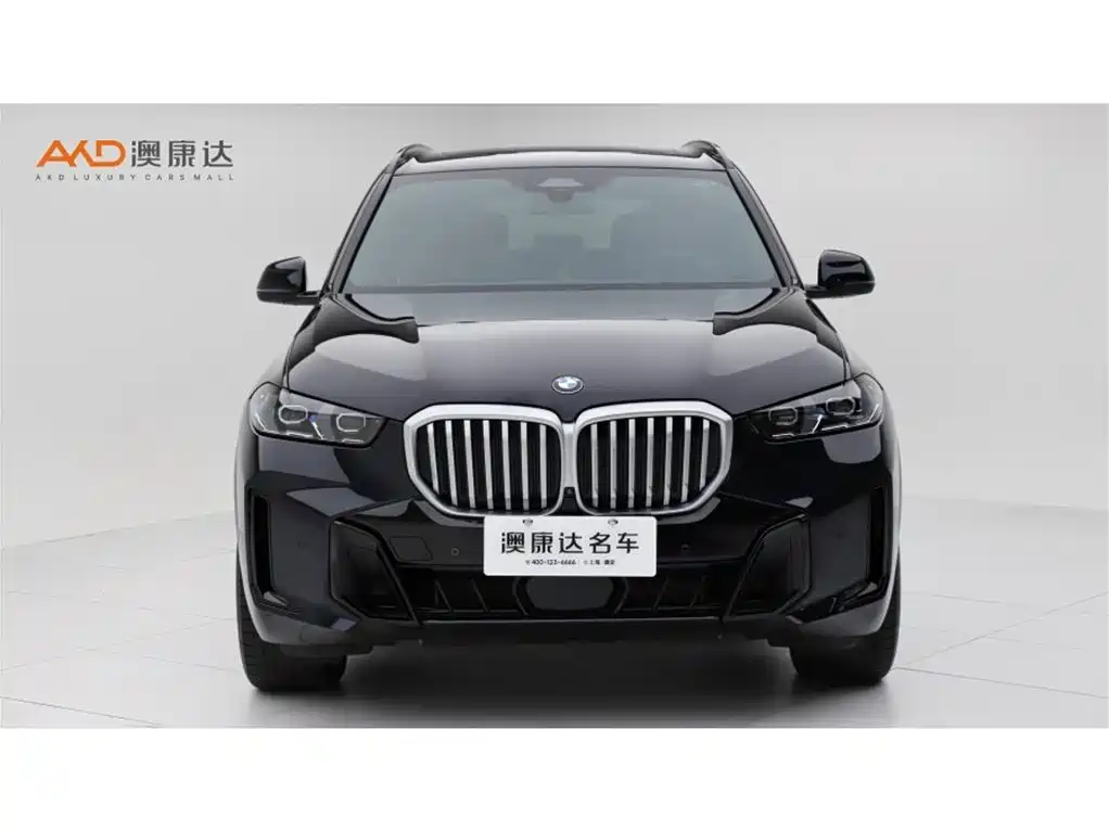 BMW X5 — миниатюра 2