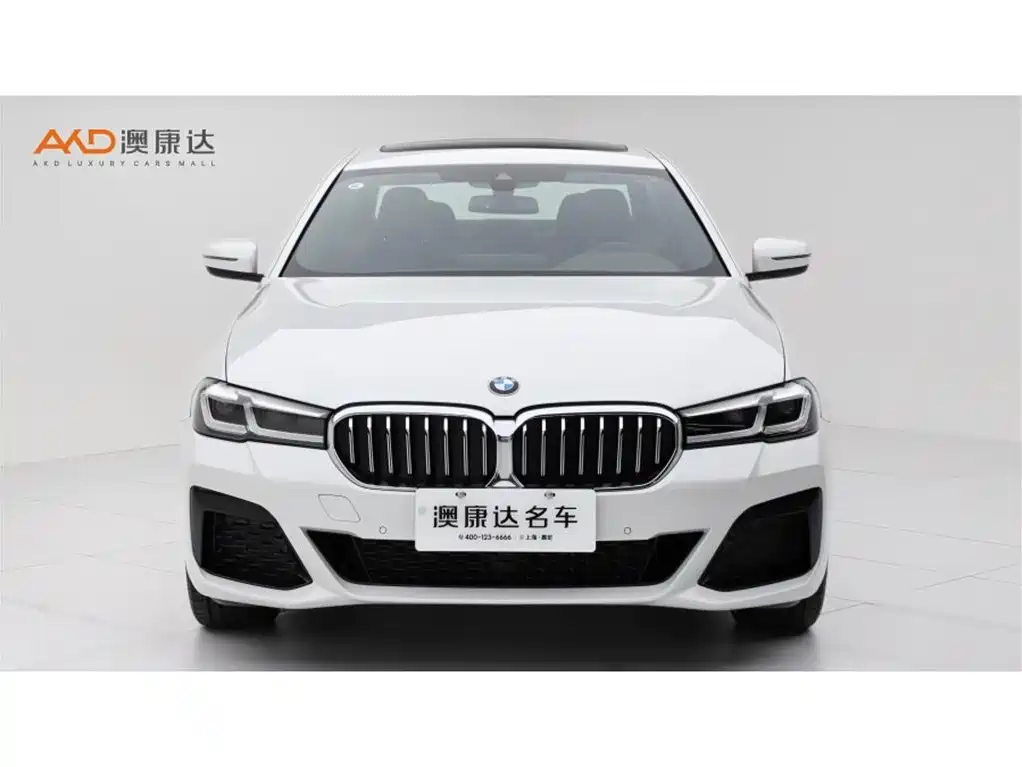 BMW 5 Series — миниатюра 2