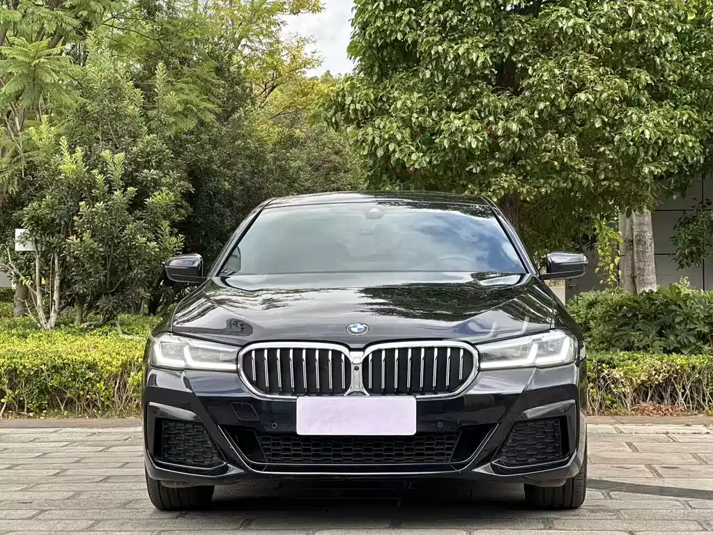 BMW 5 Series — миниатюра 2
