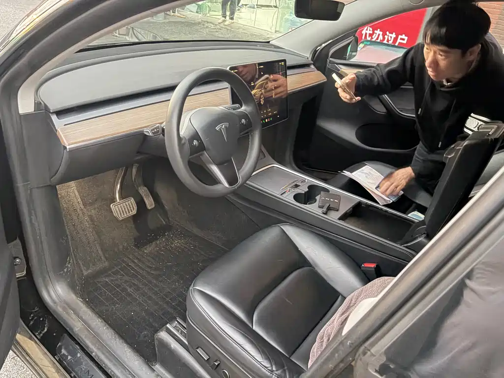 Tesla Model Y — миниатюра 2