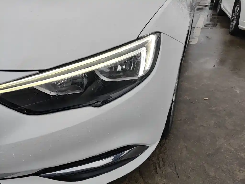 Buick Regal — миниатюра 24