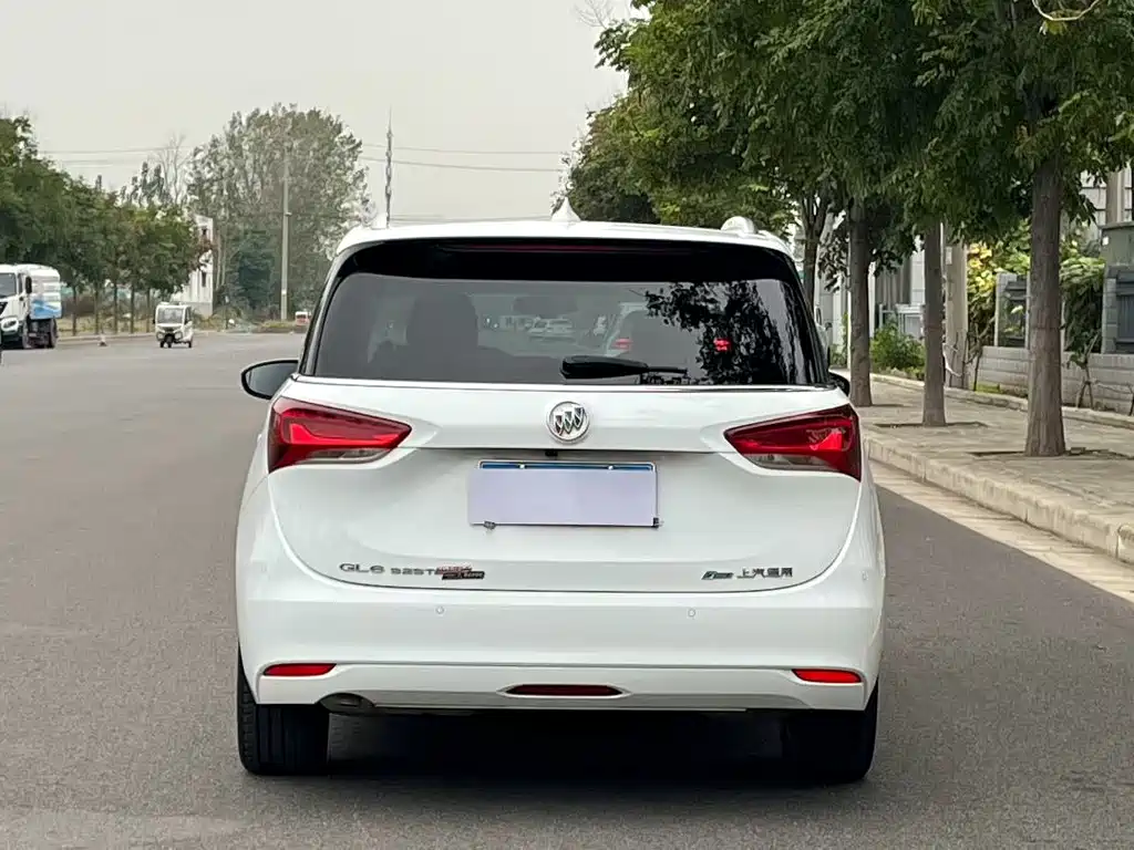 Buick GL6 — миниатюра 14
