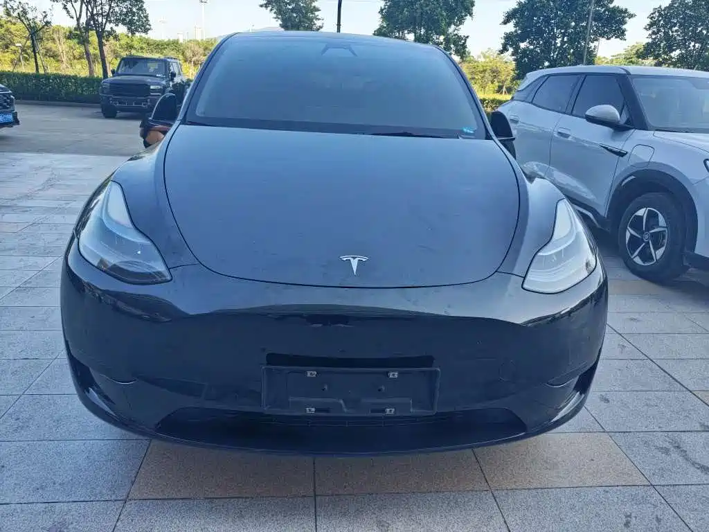 Tesla Model Y — миниатюра 2