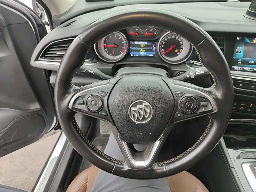 Buick Regal — миниатюра 11