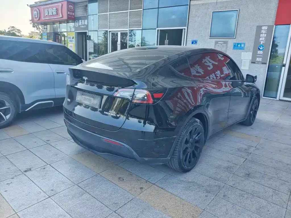 Tesla Model Y — миниатюра 8