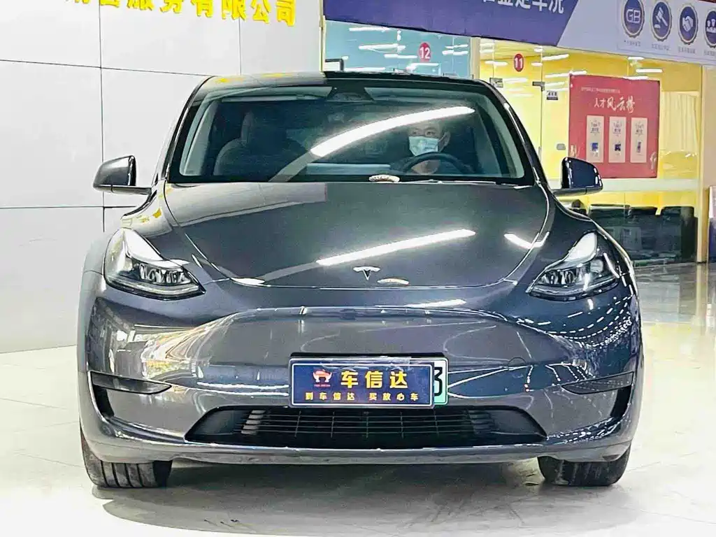 Tesla Model Y — миниатюра 2