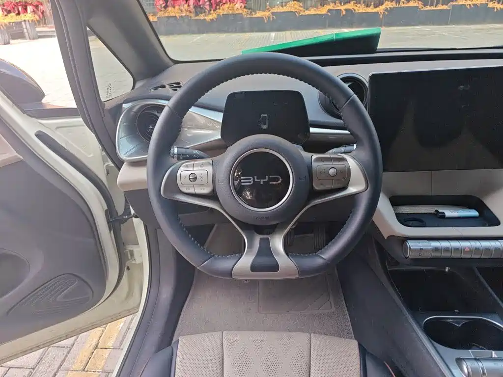 BYD Dolphin — миниатюра 3