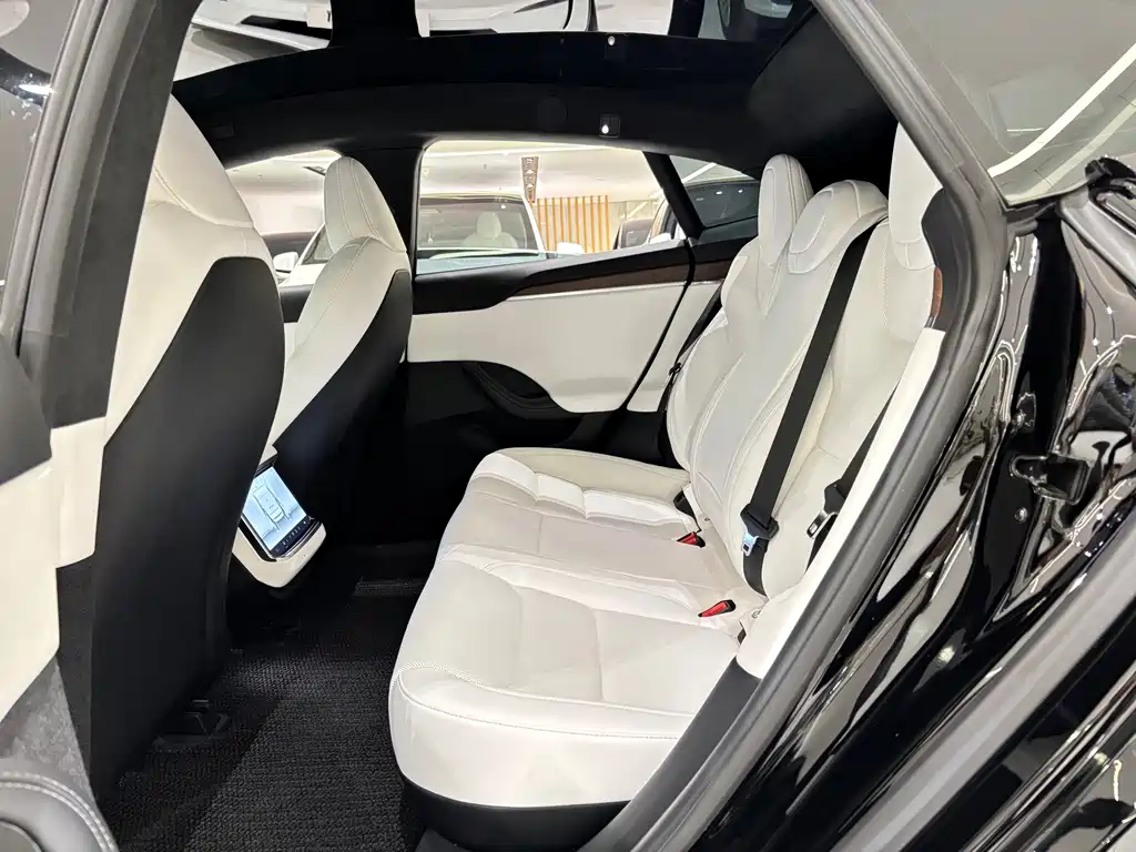 Tesla Model S — миниатюра 11