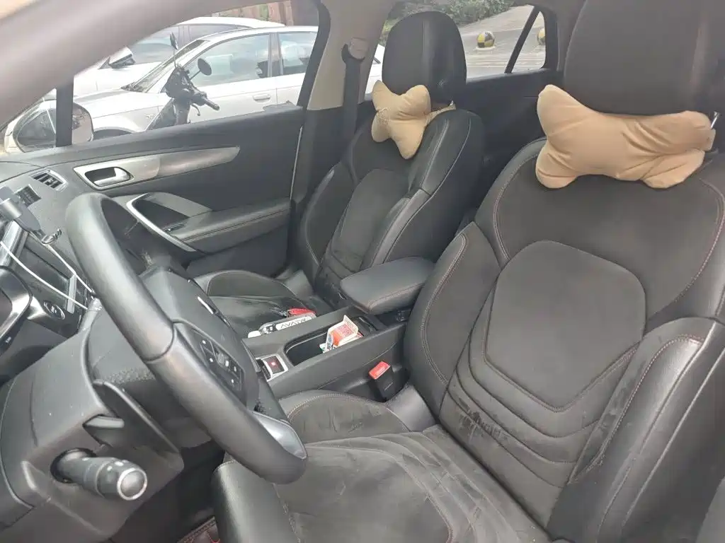 DS DS 4S — миниатюра 11