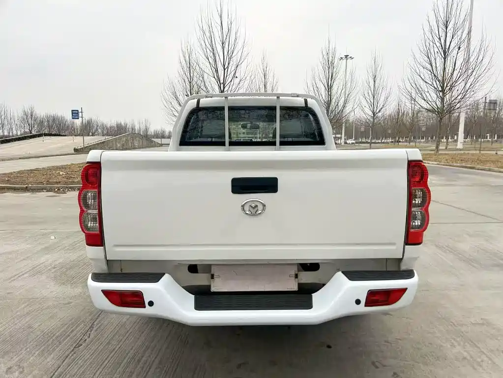 GREAT WALL FENGJUN 5