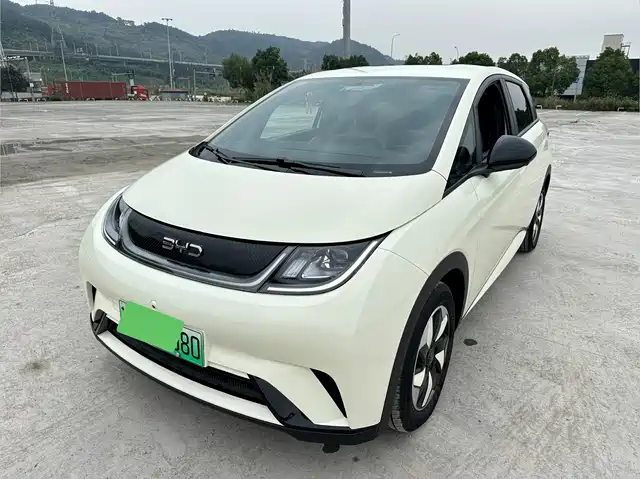 BYD DOLPHIN 2025