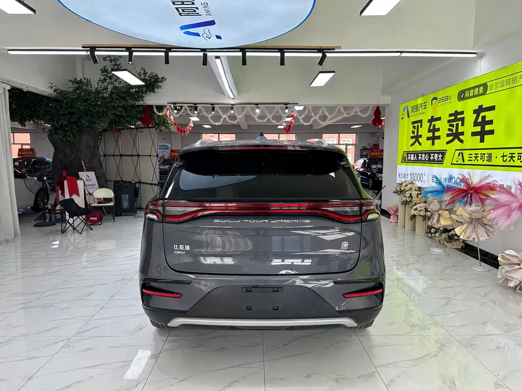 BYD Tang New Energy — миниатюра 5