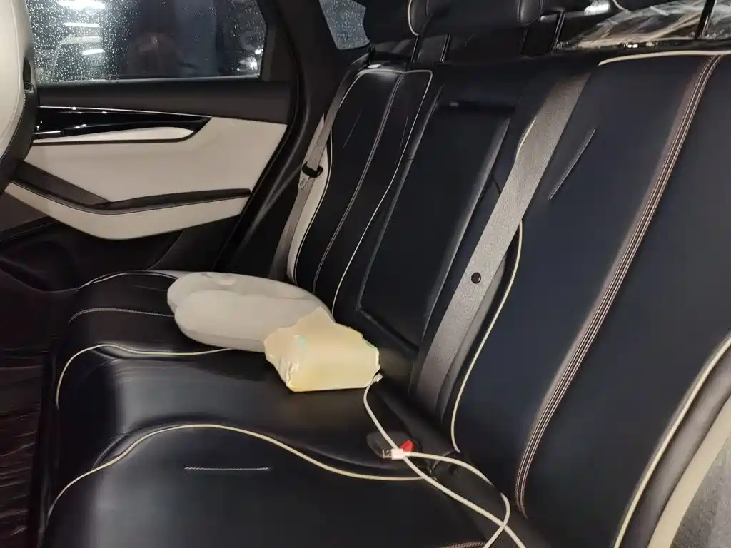 BYD Qin PLUS — миниатюра 13